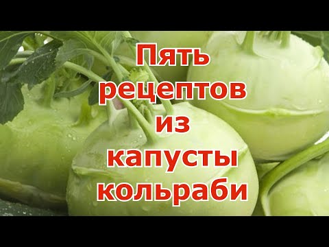 Видео: Как сохранить и что приготовить из кольраби Пять рецептов - салат, суп, оладушки, квашеная и другое