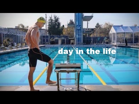 Видео: Моя новая жизнь: подготовка к Олимпиаде (в качестве инженера-программиста)