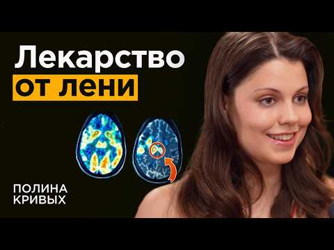 Видео: Психофизиолог про научный способ победы над ЛЕНЬЮ и ПРОКРАСТИНАЦИЕЙ | Полина Кривых