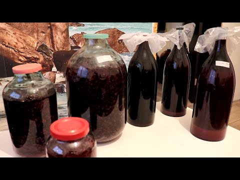 Видео: Карменер.Микровиноделие/Сколько садить кустов винограда?