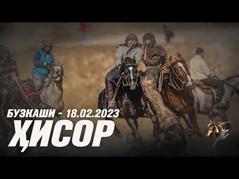 Видео: Бузкаши 18.02.2023 ш.Хисор