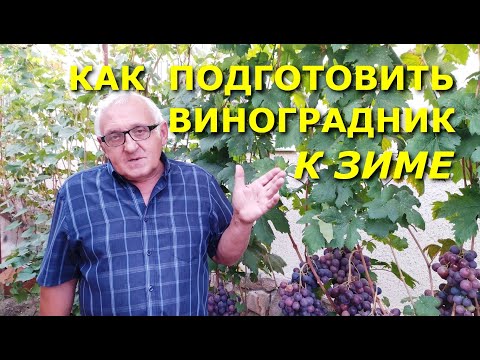 Видео: Как подготовить виноградник к зиме