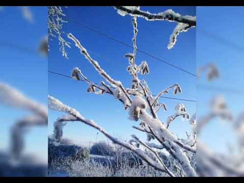 Видео: "Яд къарасу" (Лезгинская песня)