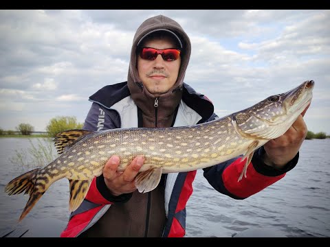 Видео: Открытие сезон 2025. Ловля щуки в траве на вертушки.