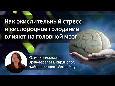 Видео: Окислительный стресс и кислородное голодание. Влияние на головной мозг.