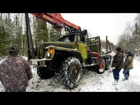 Видео: ДОРОГИ В НОВУЮ ДЕЛЯНКУ НЕТ!!! Лесовоз Урал 4320 застревает на месте. Переезд