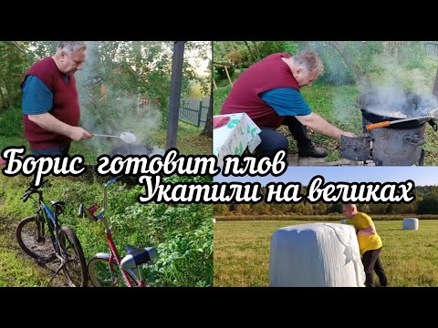 Видео: Борис и плов . На великах по деревне .🏠🚲🥣
