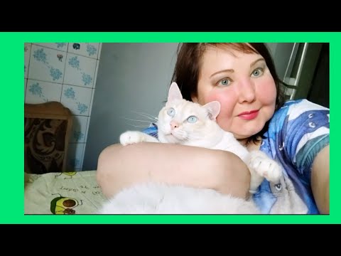 Видео: КАК Я РАБОТАЛА СИДЕЛКОЙ В КИЕВЕ И ДО ЧЕГО МЕНЯ ДОВЕЛА БАБКА МИХАЙЛОВНА 