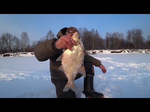 Видео: В ГЛУХОЗИМЬЕ ЭТИ СНАСТИ ЛОВЯТ ВСЁ! ЛЕЩИ ДНЁМ, ДА ЛАДНО.. ОПЯТЬ БАГОР \ ЖЕРЛИЦА-ДОНКА, НОВЫЕ НОЖИ !
