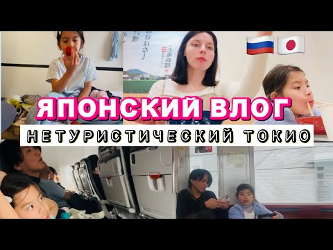 Видео: Японский влог русско-японской семьи. Как и где местные японцы проводят выходные.