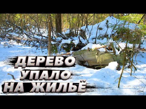 Видео: Чуть не раздавило деревом | ЛЕСНОЙ ДОМ | ИЗБА | FOREST HOUSE | DUGOUT | HUT