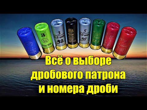 Видео: Выбор номера дроби для охоты в 2024. Разновидности патронов и выбор дроби на разную дичь.