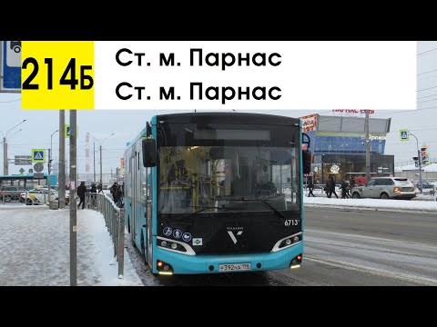 Видео: Автобус 214б "Ст. м. "Парнас" - ст. м. "Парнас" (кольцевой)