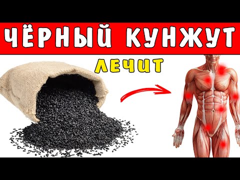 Видео: ЧЁРНЫЙ КУНЖУТ ЛЕЧИТ НЕ ХУЖЕ ЛЕКАРСТВ - Тайная Сила Кунжута
