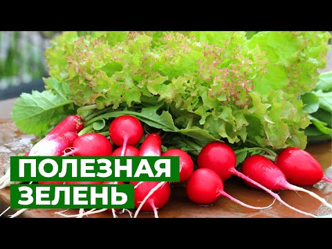 Видео: ВИТАМИННАЯ ЗЕЛЕНЬ | Как применить коробки из-под яиц для рассады