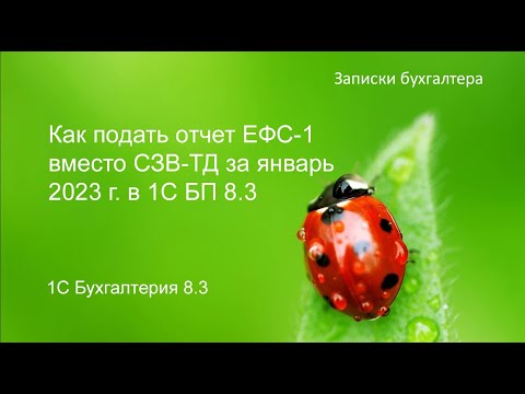 Видео: Как подать новый отчет ЕФС-1 вместо СЗВ-ТД в 1С БП 8.3