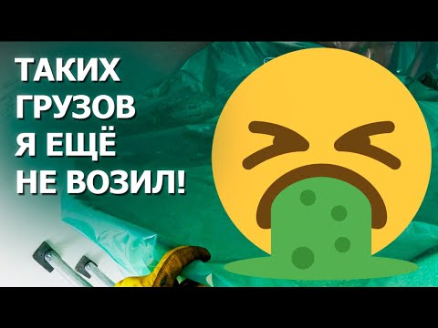 Видео: Где мой противогаз? 🤢 | Работа дальнобойщиком в США