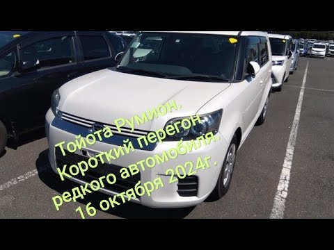 Видео: 21 октября 2024 г.