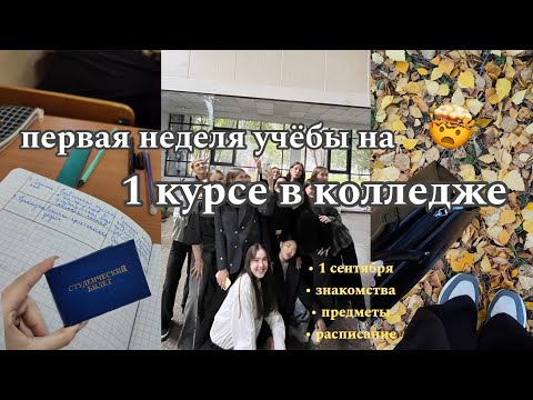 Видео: первая неделя учёбы на 1 курсе в колледже 📚/будни хореографа/хореографический факультет🩰