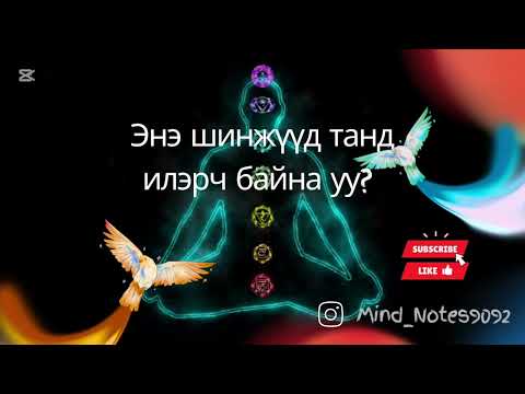 Видео: 7 хүрд тэнцвэрээ алдахад юу болдог вэ? | Бие, сэтгэлийн эрүүл мэндэд үзүүлэх нөлөө 