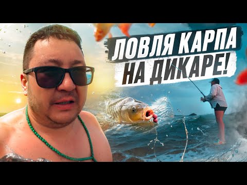 Видео: КРУТЕЙШАЯ РЫБАЛКА НА КАРПА. СЕЗОН ШАШЛЫКОВ НЕ ОТКРЫТ. НАСТОЯЩИЙ РАЙ НА ЗЕМЛЕ.