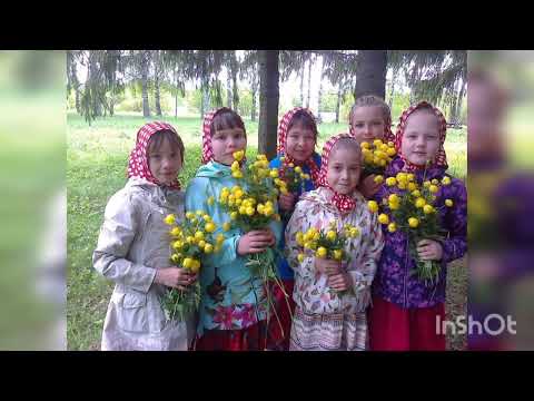 Видео: Павино