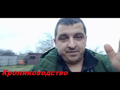 Видео: Основа кормления кроликов