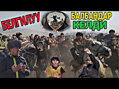 Видео: ОШ Аламан УЛАК Өтө ДЕРЗКИЙ Болду 20.02.2022