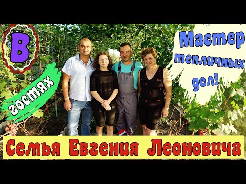 Видео: Виноградари Беларуси. В гостях у Евгения Леоновича .
