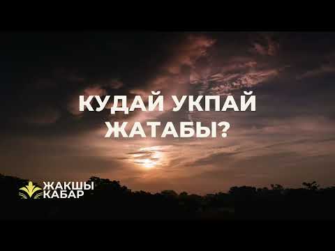 Видео: Кудай укпай жатабы?