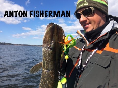 Видео: Щука на спиннербейт. Anton Fisherman - рыбалка с гидом.