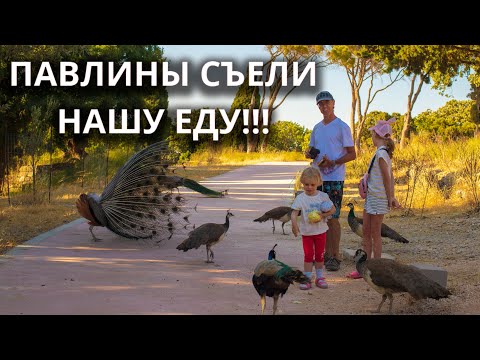 Видео: VLOG: РОДОС 2025 - КОРМИМ ПАВЛИНОВ В МОНАСТЫРЕ ФИЛЕРИМОС. ГРЕЦИЯ С ДЕТЬМИ.