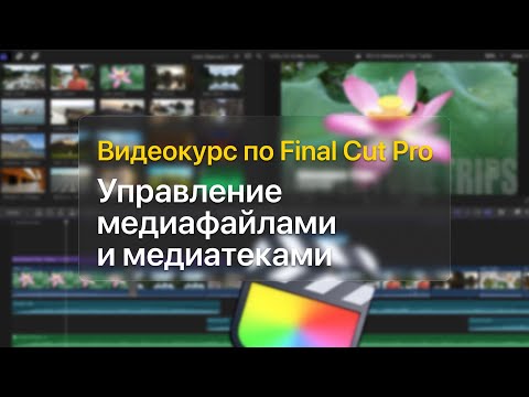 Видео: 🗄 Управление медиафайлами и медиатеками — курс уроков по Final Cut Pro