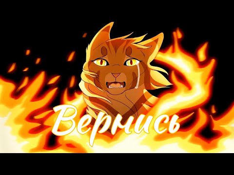 Видео: Коты Воители Звездоцап и Златошейка: Боль стекала по венам вниз [Intreega]