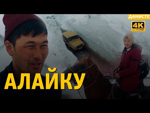 Видео: Алайку: тоолуктардын топуктуу турмушу