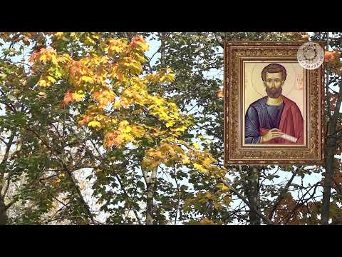 Видео: Балашихинское телевидение