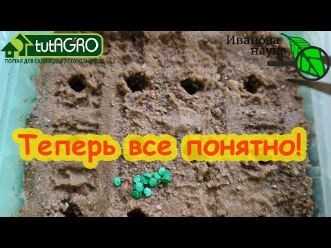 Видео: ПОЧЕМУ Я ТАК РАНО СЕЮ ПЕРЦЫ? КАЛЬКУЛЯТОР ТОЧНЫХ СРОКОВ ПОСЕВА СЕМЯН ПЕРЦА НА РАССАДУ. Не ошибетесь.