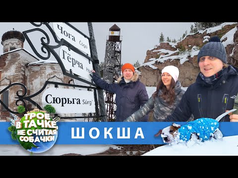 Видео: «Трое в тачке, не считая собачки» | Шокша