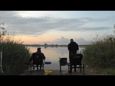 Видео: СКАЗ О ТОМ, КАК 2 РЫБАКА ПЕТРОВИЧСКОЕ ВОДОХРАНИЛИЩЕ РАЗГАДЫВАЛИ😁. ЛОВЛЯ ПЛОТВЫ И ПОДЛЕЩИКА НА ФИДЕР🐟