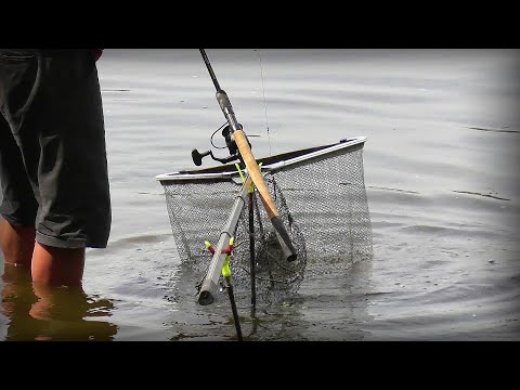 Видео: Підсака на поготові !!! Рибалка на Дніпрових Лящів тай не тільки.