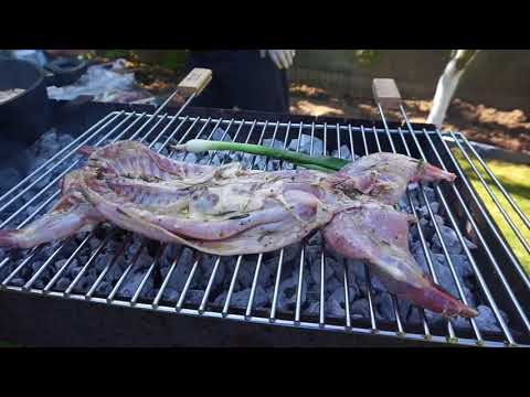 Видео: Сочный шашлык из кролика с соусом из шампиньонов.Рецепт от Жоржа