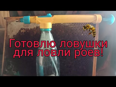 Видео: Комплектую ловушки, чем привлечь бродячии рои