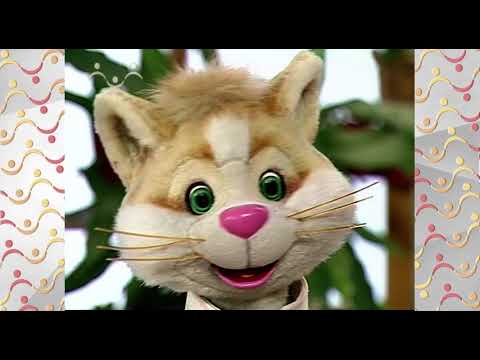 Видео: Шишкин Лес.  Зимний сад.  Сосна