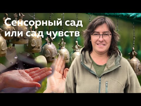 Видео: Сенсорный сад или сад чувств