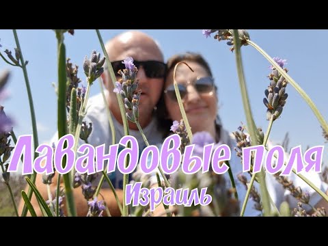 Видео: 🇮🇱 Винодельня Tera и Лавандовые поля Голанских высот! #израиль 