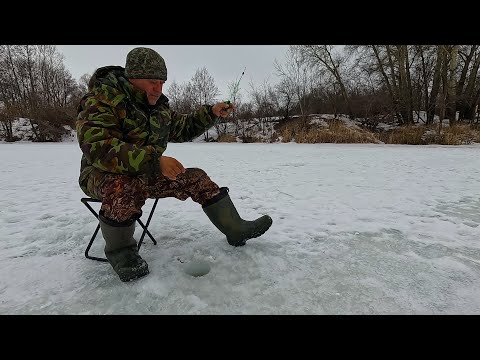 Видео: Рыбалка на речке 6 марта 2024