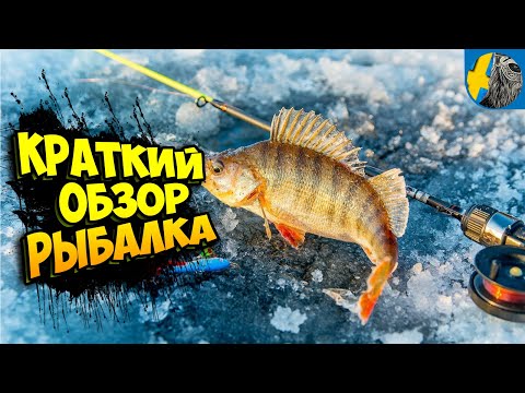 Видео: FISHER ONLINE обзор симулятора рыбалки