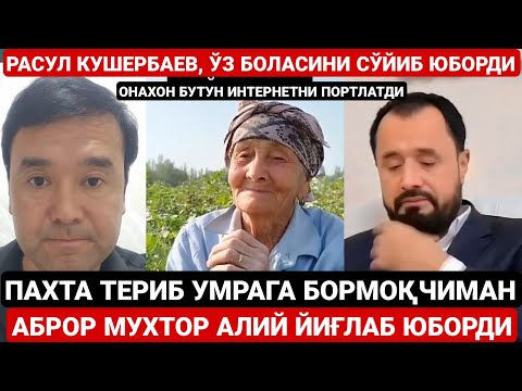 Видео: АБРОР МУХТОР АЛИЙ ЙИҒЛАБ ЮБОРДИ | ЎЗ БОЛАСИНИ СЎЙИБ ТАШЛАДИ | ПАХТА ТЕРИБ УМРАГА БОРАМАН 70 ЁШЛИ ОНА