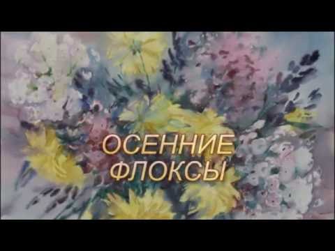 Видео: ОСЕННИЕ ФЛОКСЫ  МК И.МАНУХОВА