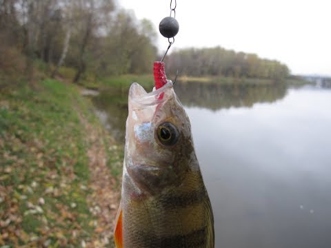 Видео: Борисовские пруды, печальный сход!